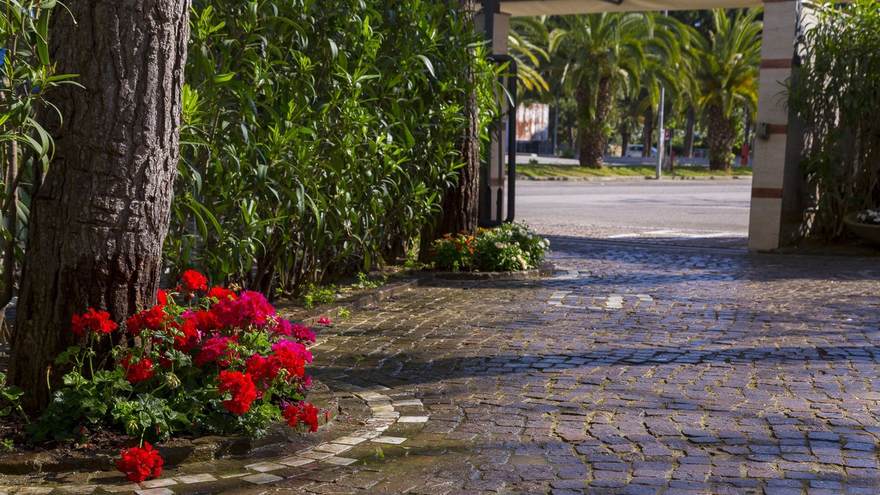 Photo of Outdoor in Porto d'Ascoli