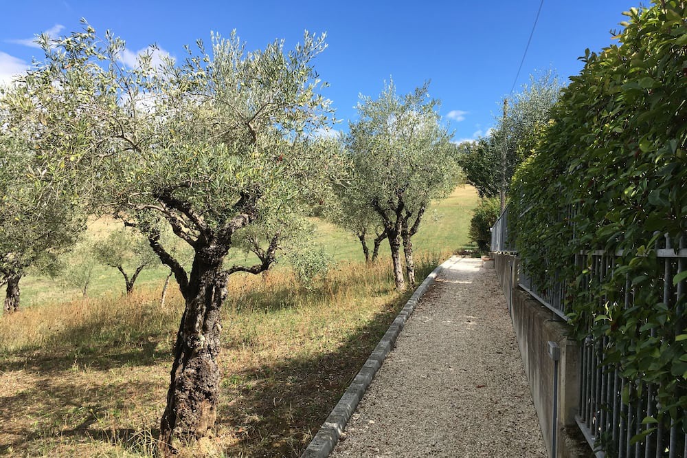 Photo of Outdoor in Tolentino