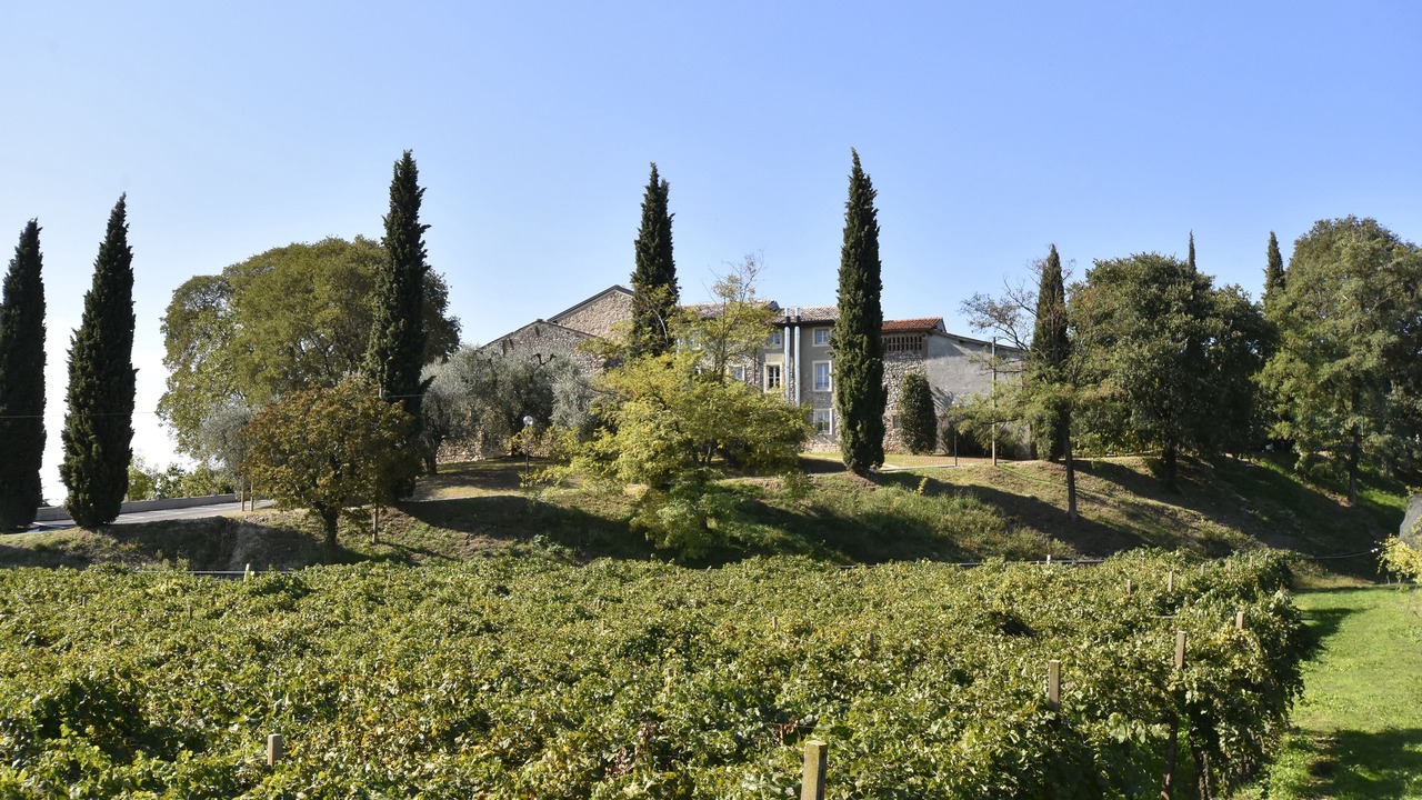 Photo of Outdoor in Lazise
