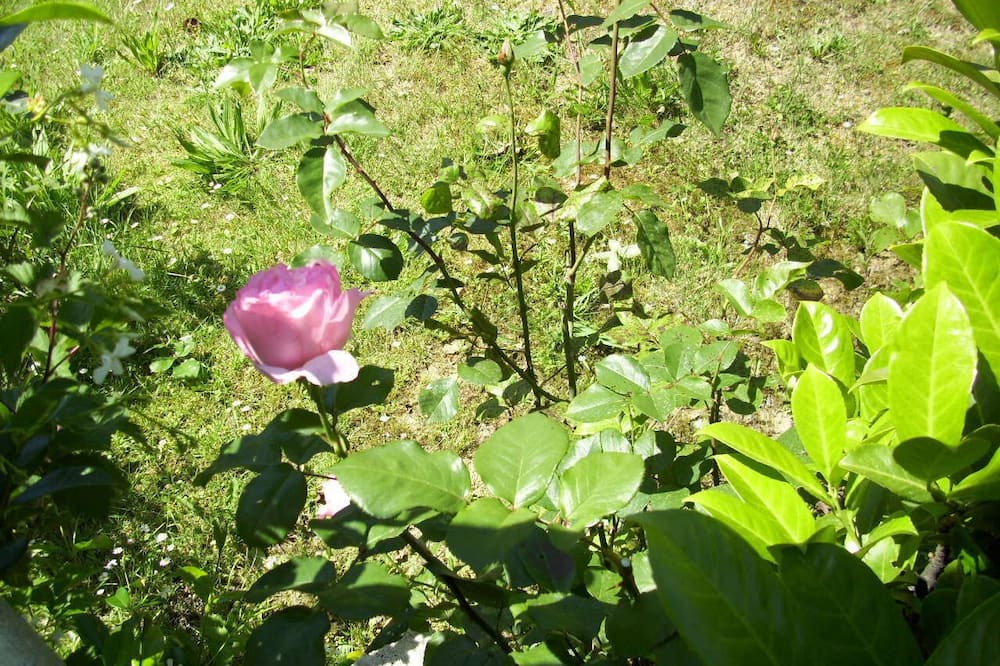 Photo of Outdoor in Noale
