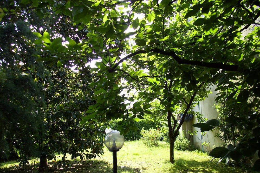 Photo of Outdoor in Noale