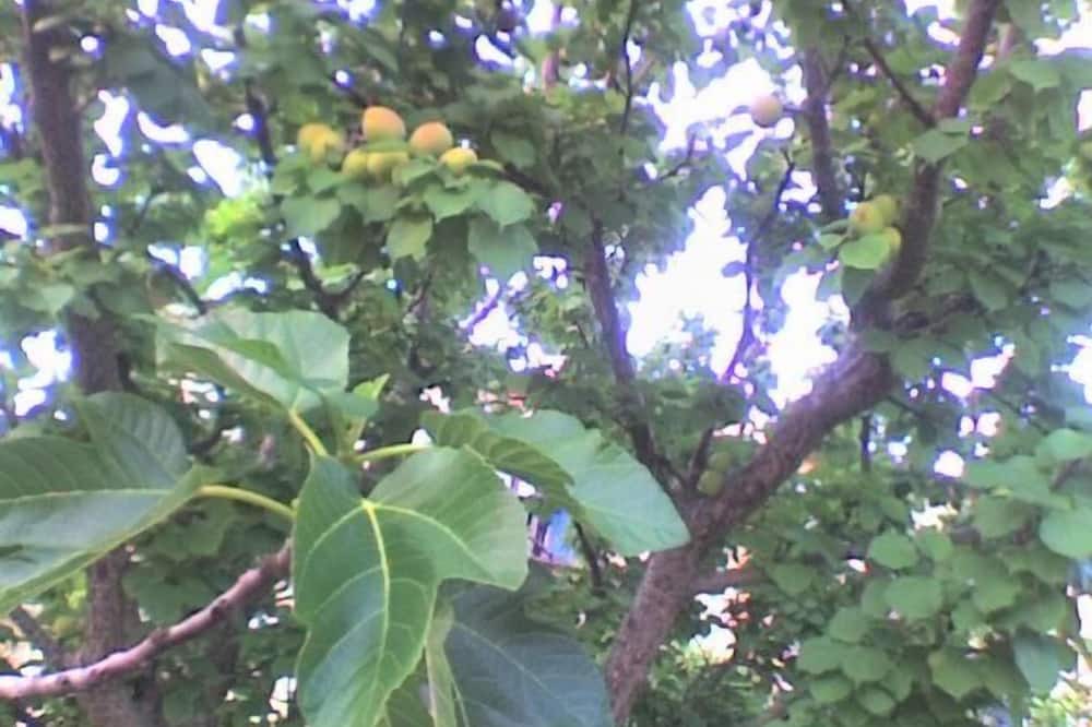 Photo of Outdoor in Noale