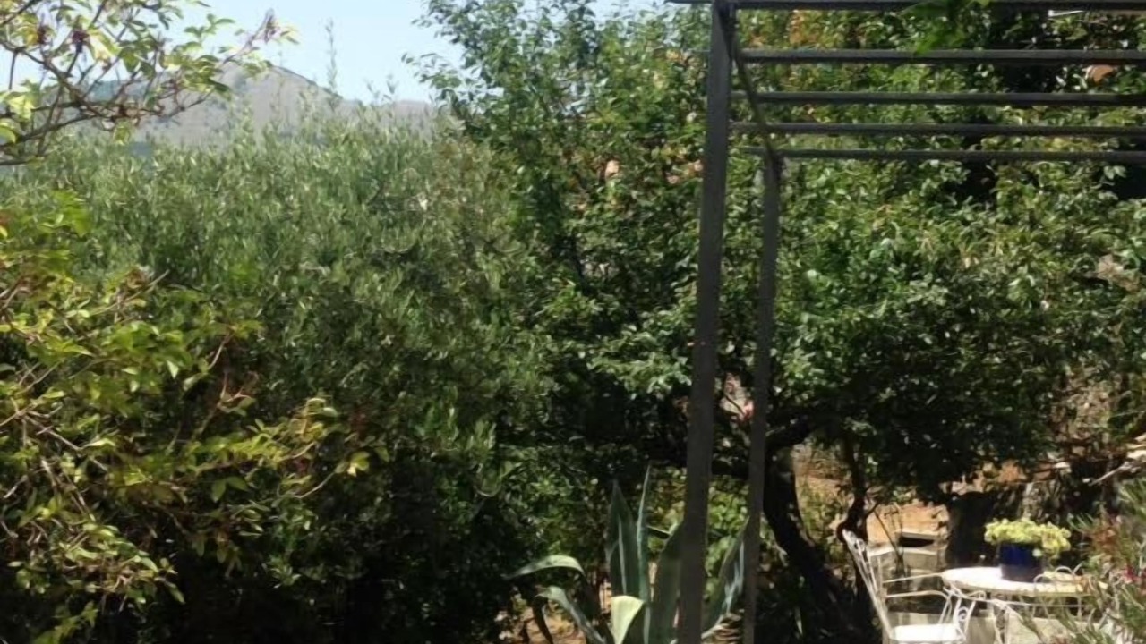 Photo of Outdoor in Rivello