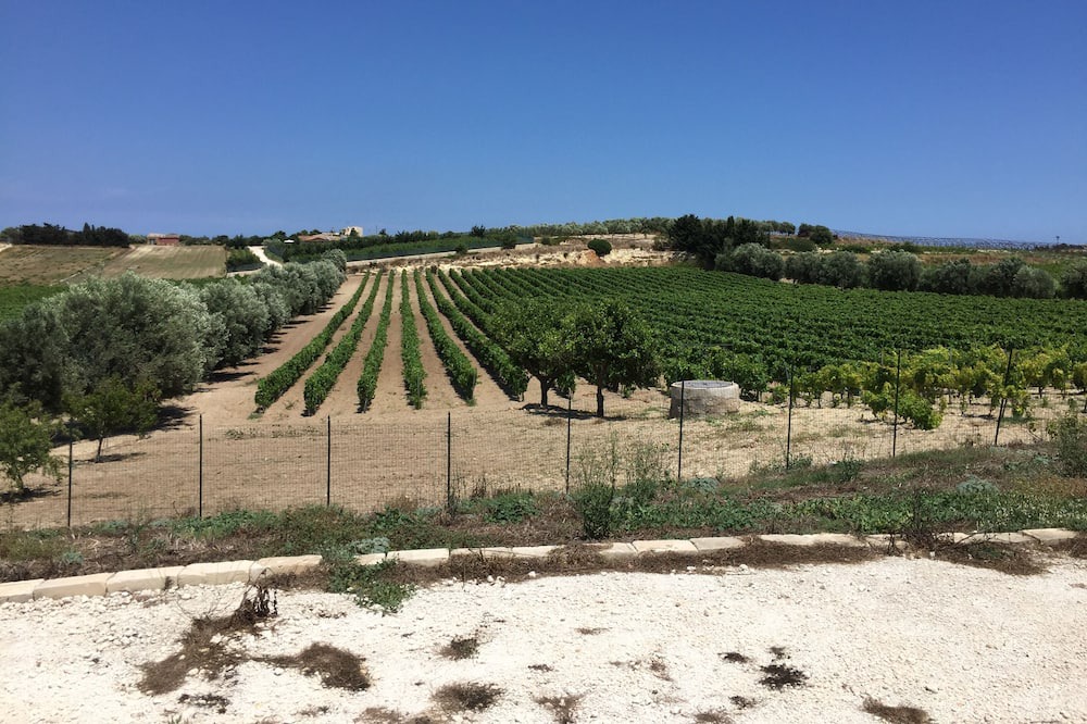 Photo of Outdoor in Noto