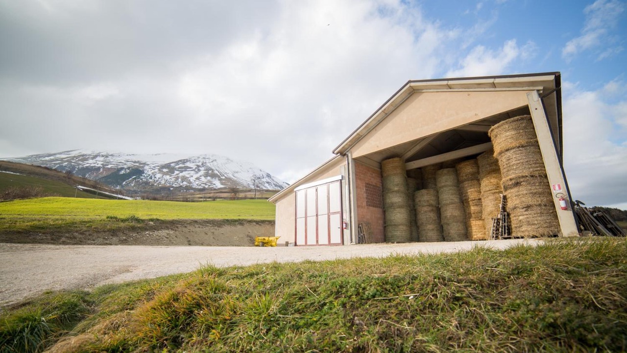 Photo of Outdoor in Montemonaco