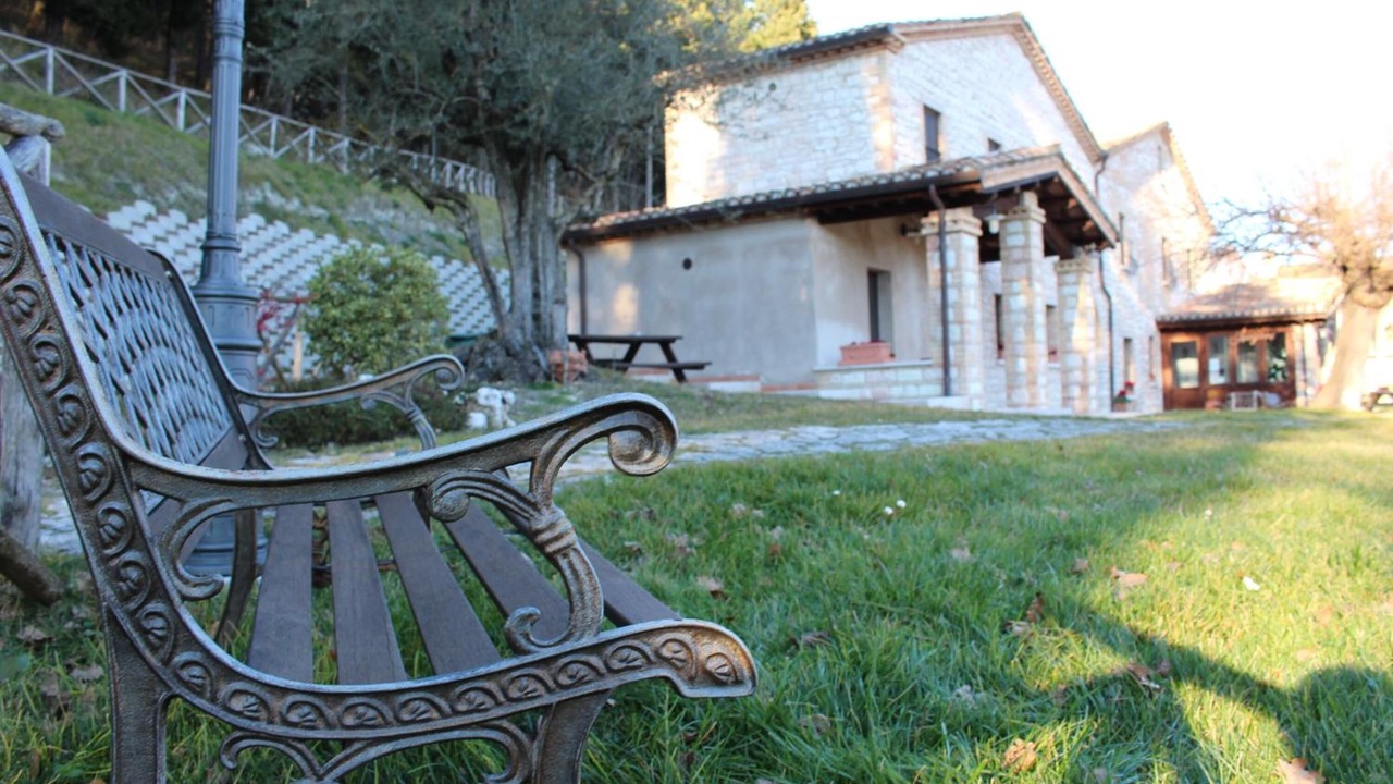 Photo of Outdoor in Pergola
