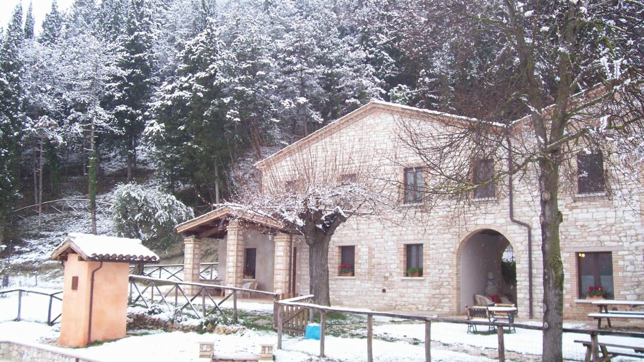 Photo of Outdoor in Pergola