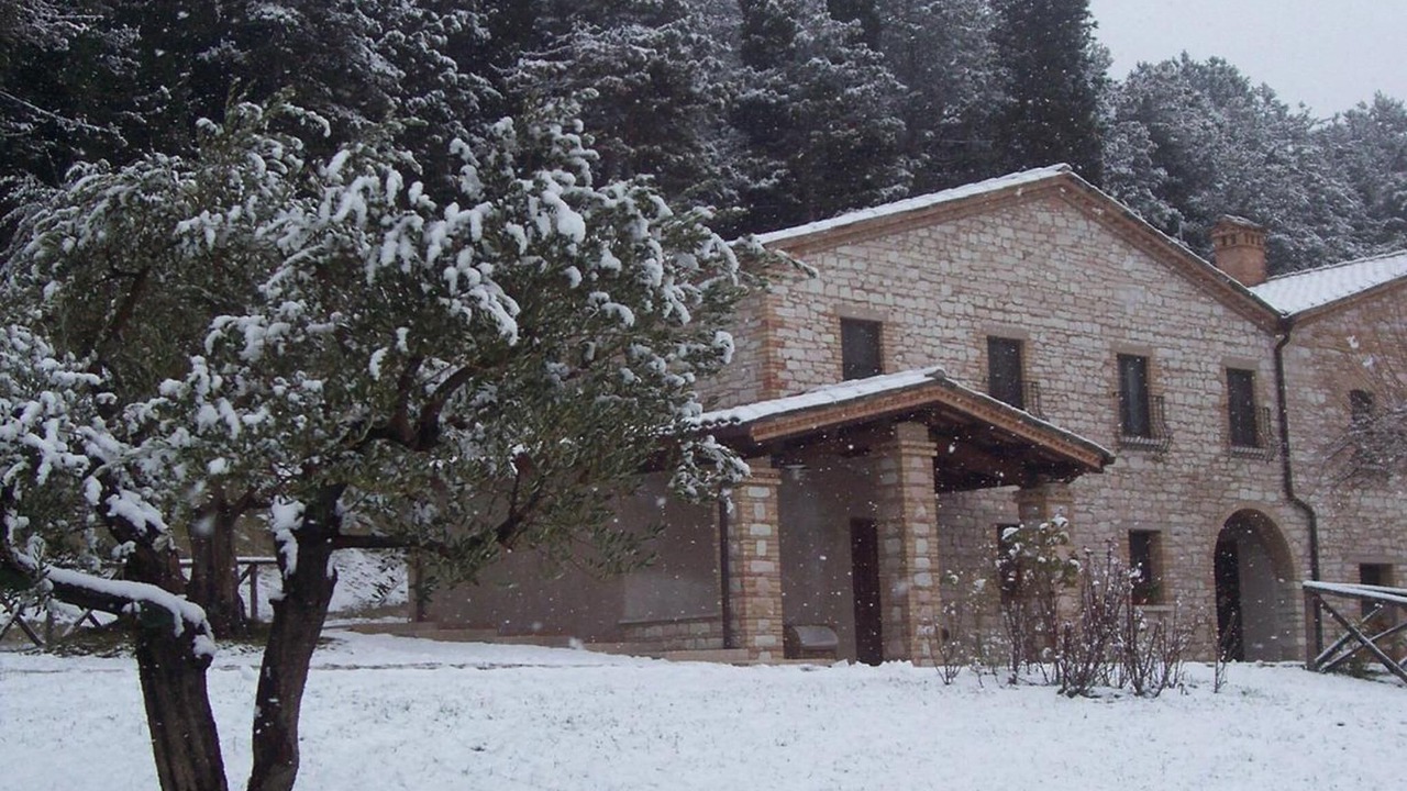 Photo of Outdoor in Pergola
