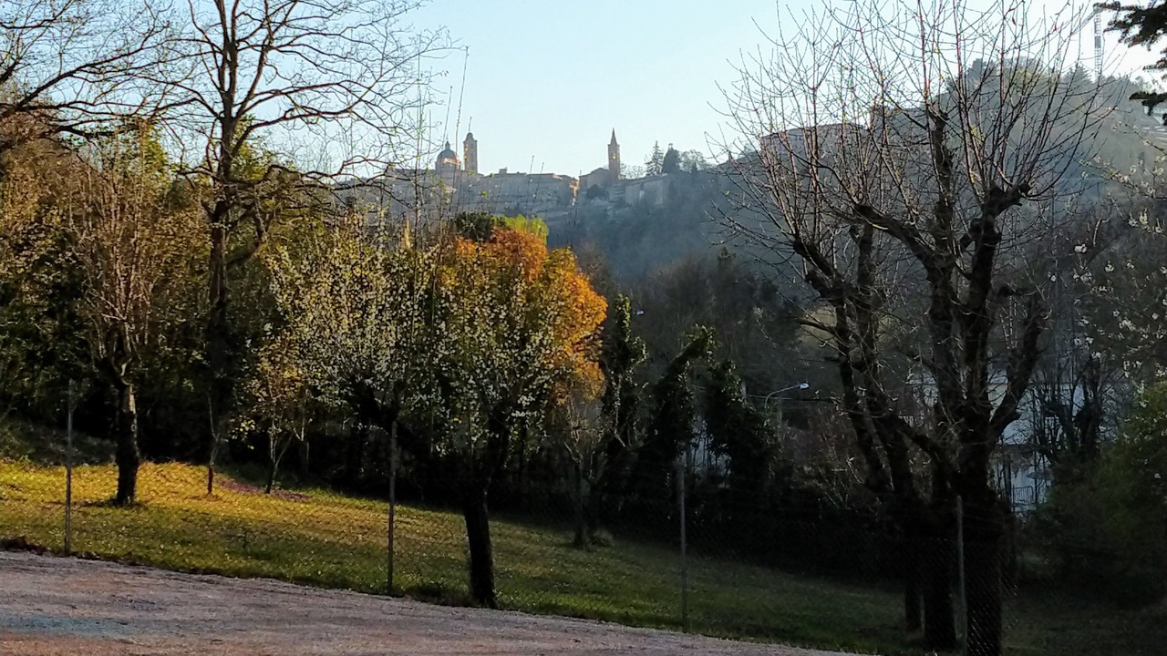 Photo of Others in Urbino
