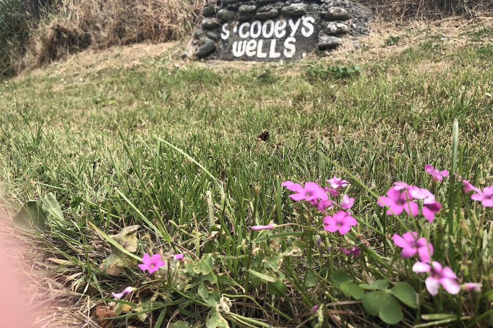 Photo of Outdoor in Cloughey