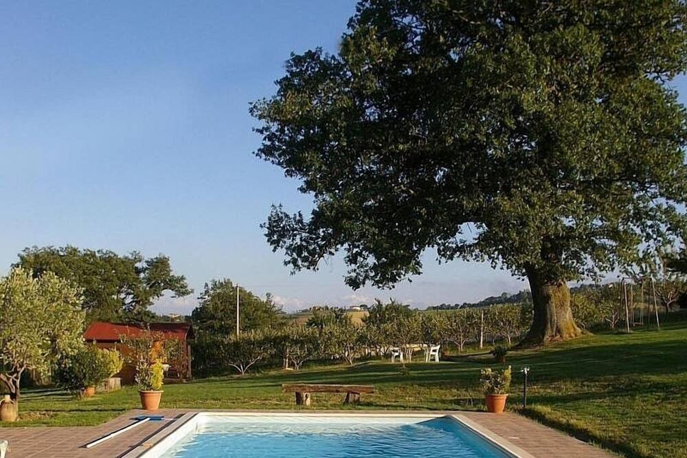 Photo of Outdoor in Pievefavera