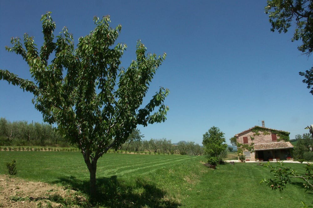 Photo of Outdoor in Pievefavera