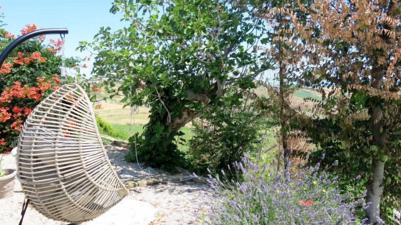 Photo of Outdoor in Cologna Spiaggia