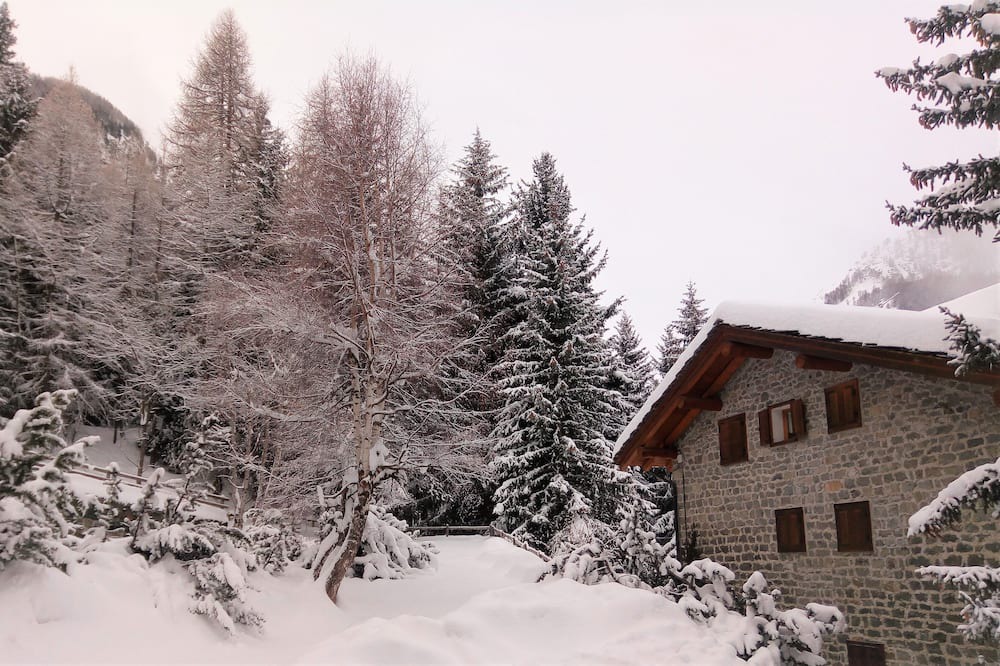 Photo of Outdoor in Cogne