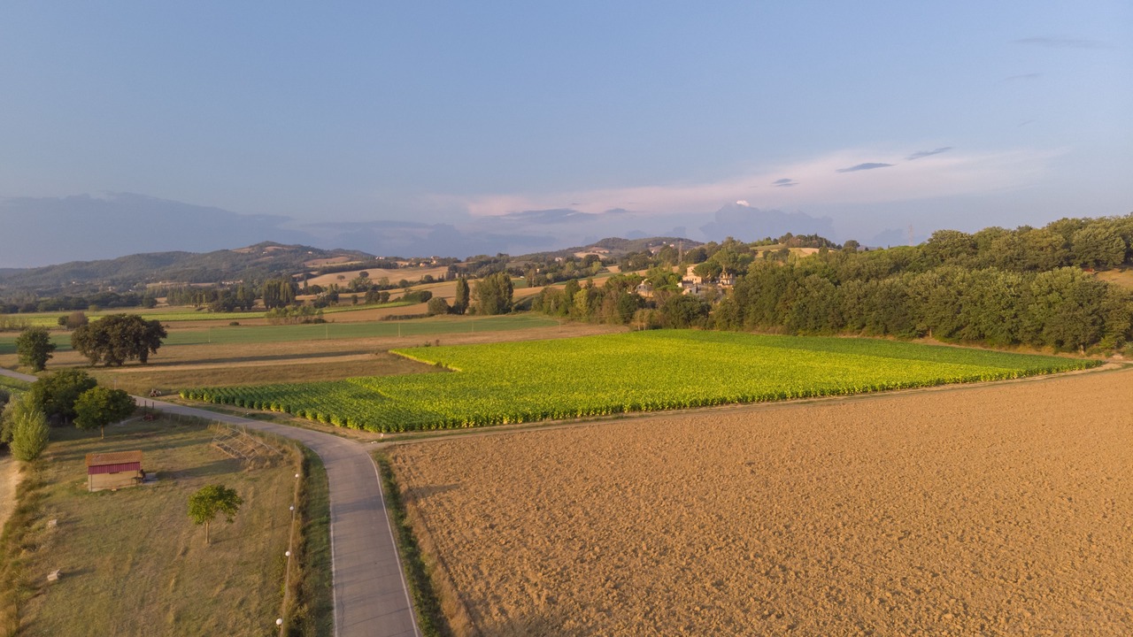 Photo of Others in Montone