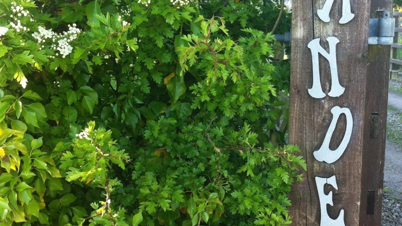 Photo of Outdoor in Aghalee
