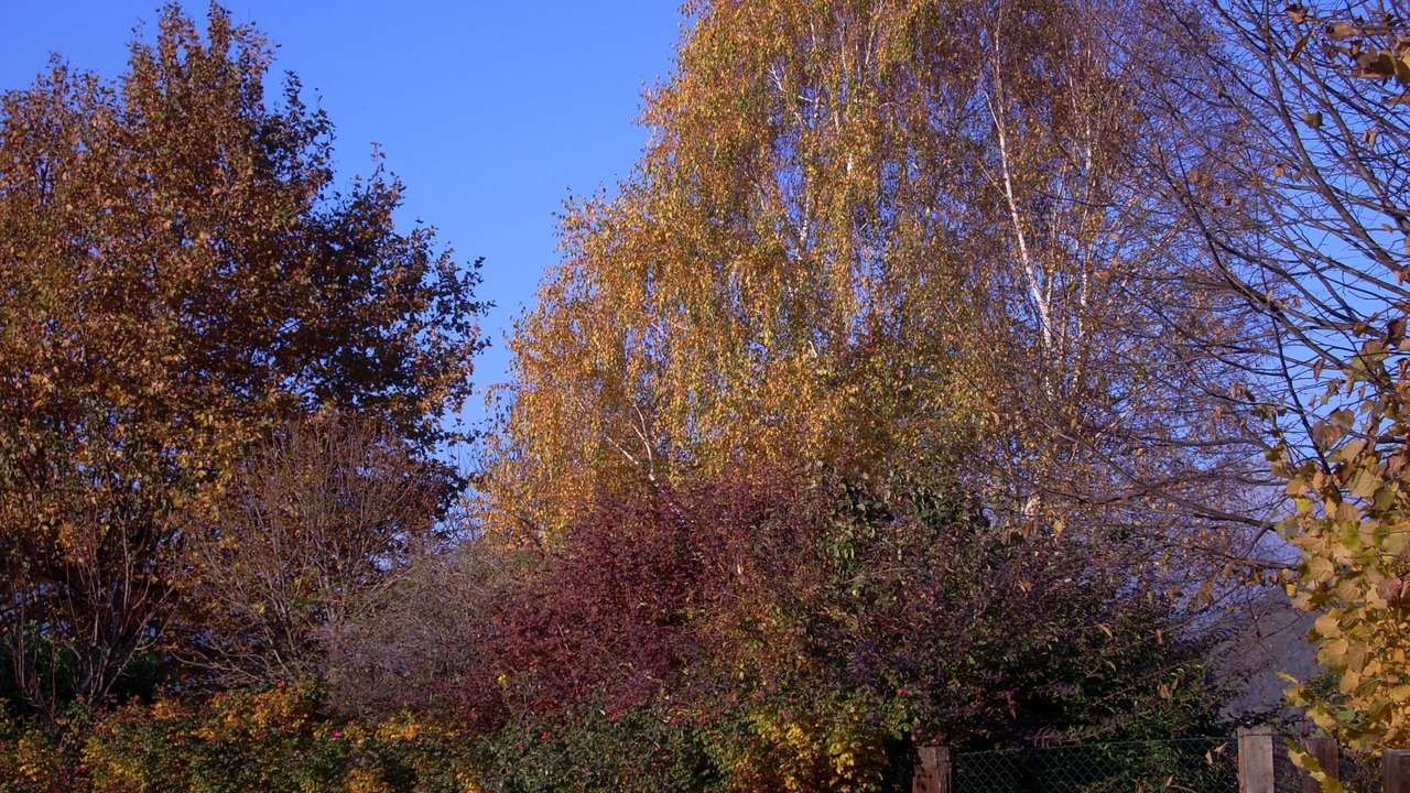 Photo of Outdoor in Piantedo