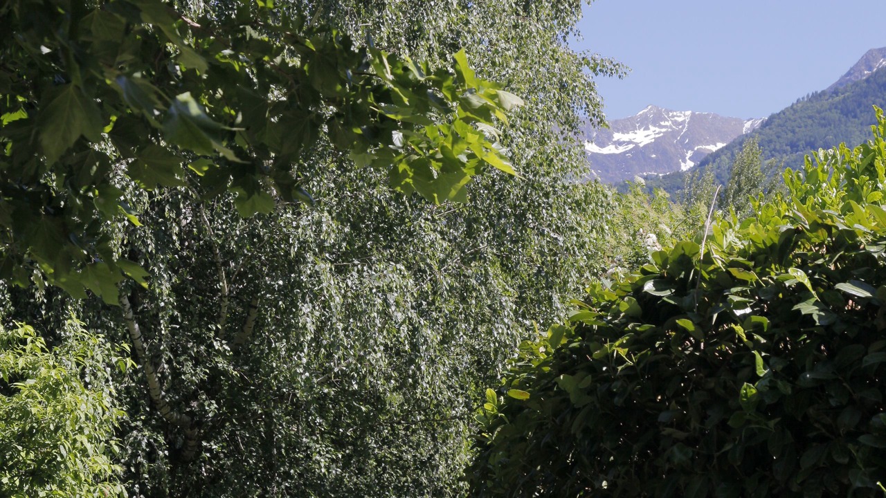 Photo of Outdoor in Piantedo