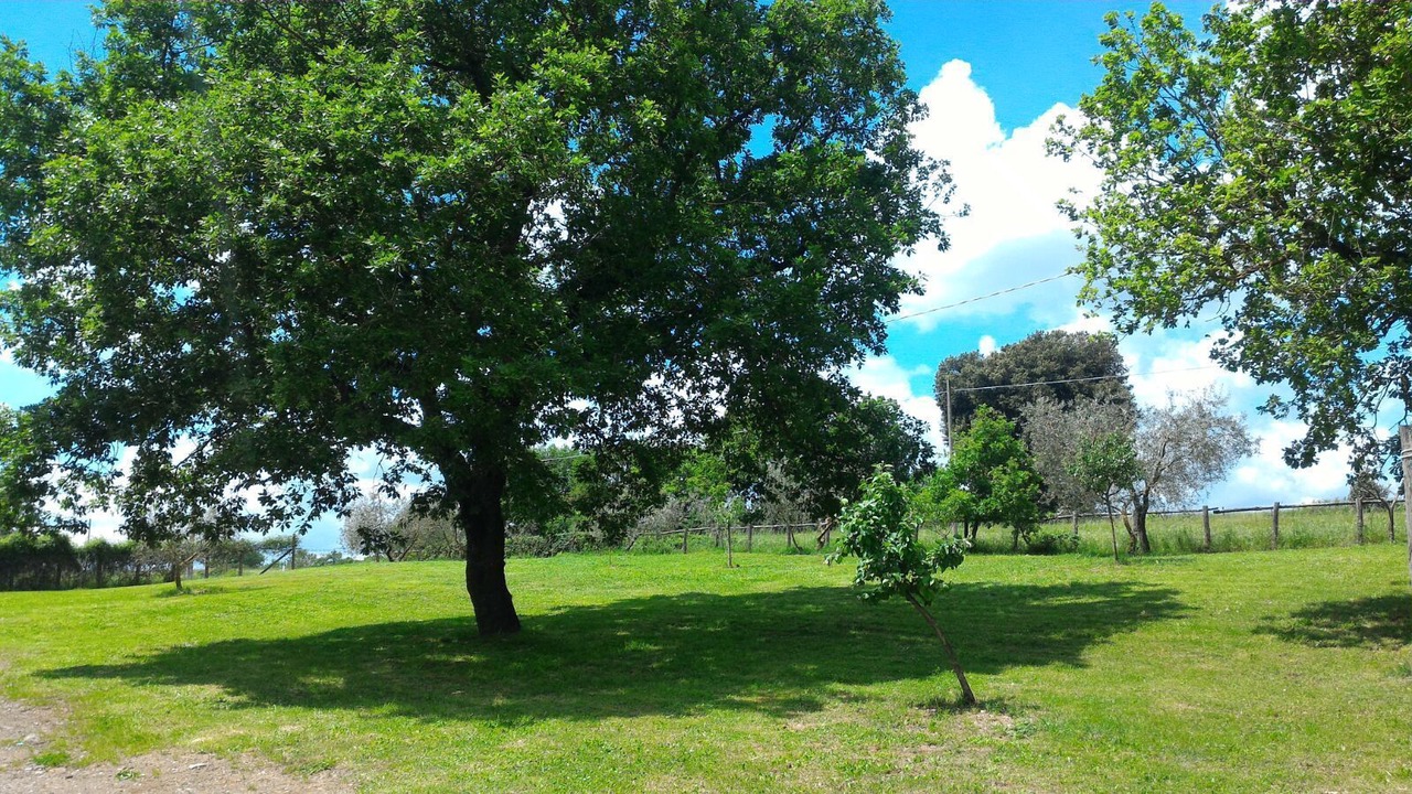 Photo of Outdoor in Acquapendente