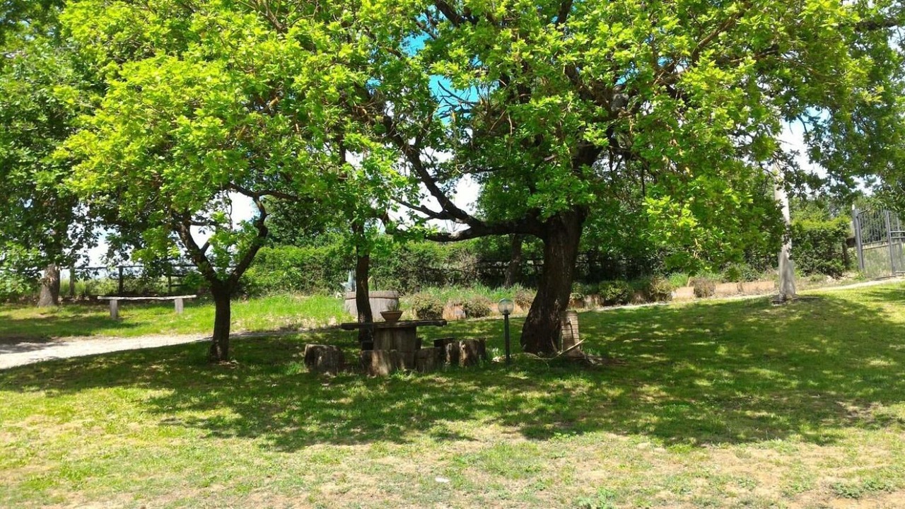 Photo of Outdoor in Acquapendente
