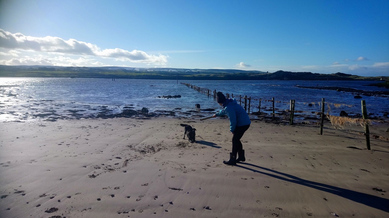Photo of Others in Dunseverick