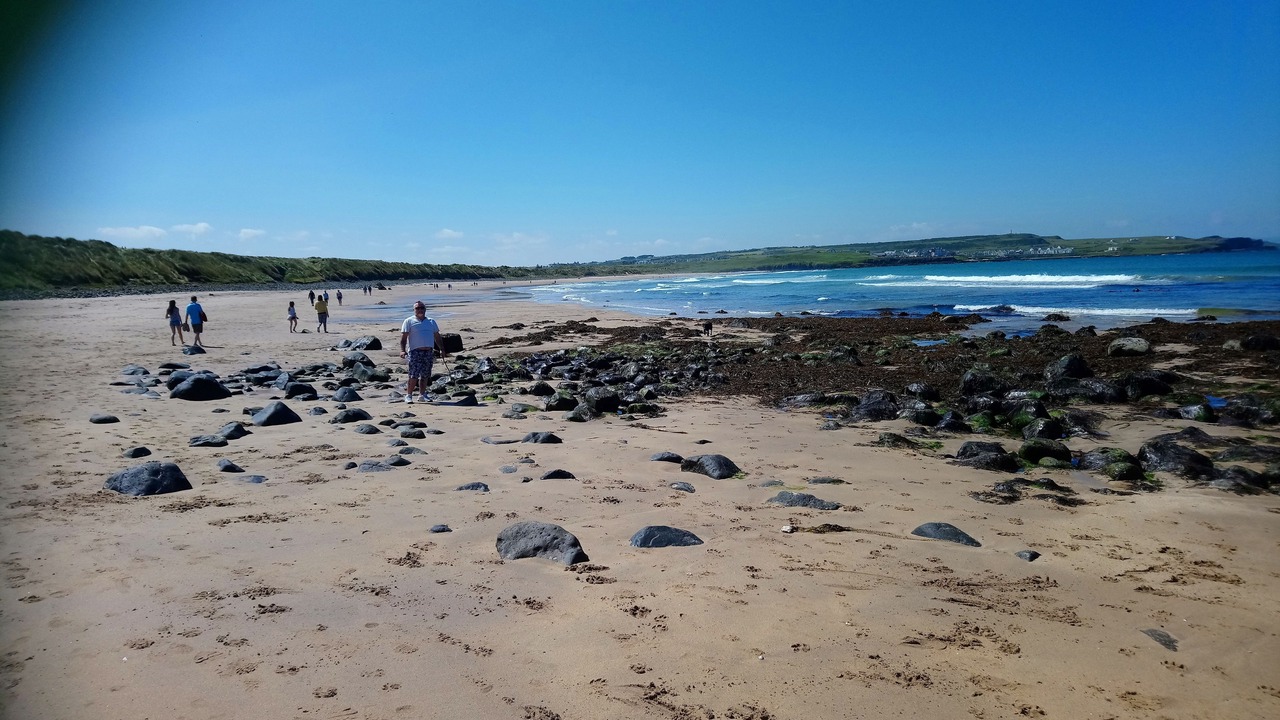 Photo of Others in Dunseverick
