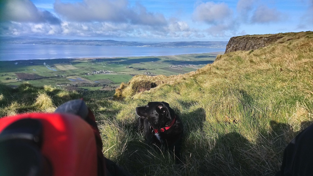 Photo of Others in Dunseverick