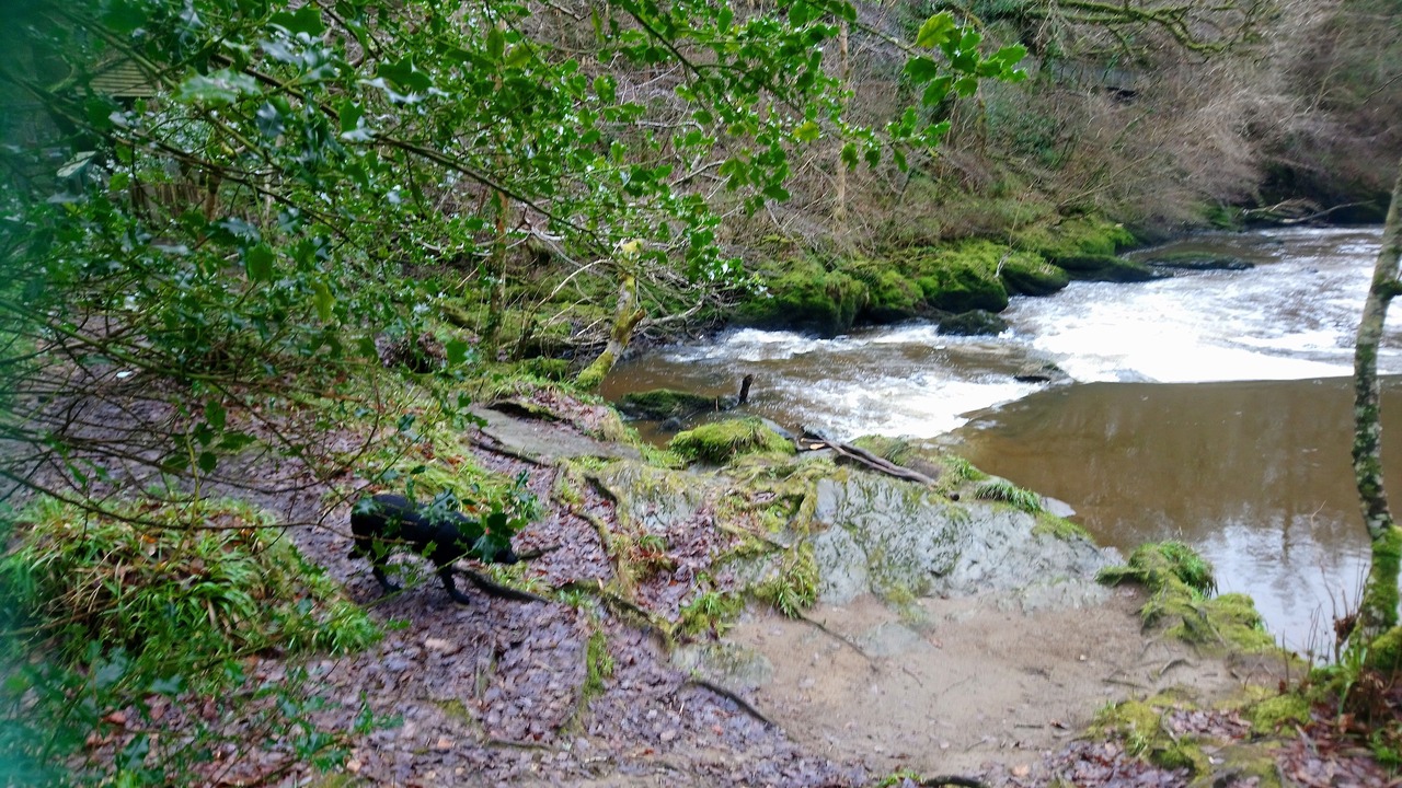 Photo of Others in Dunseverick