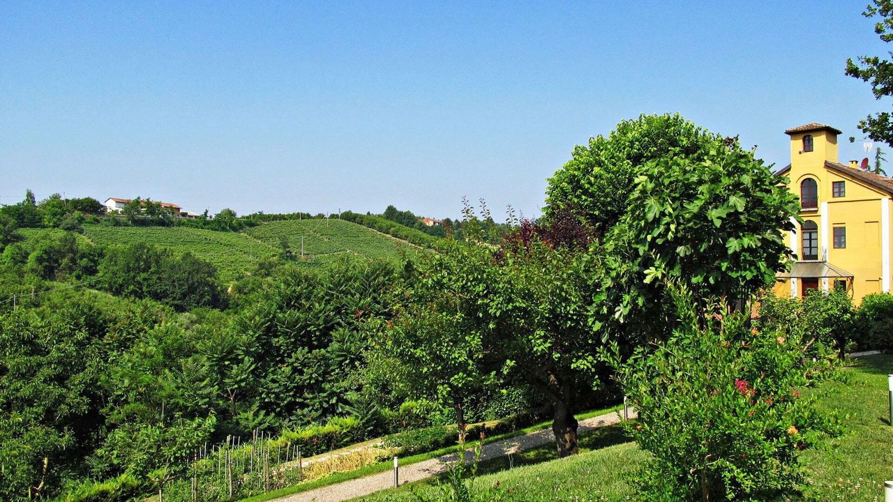 Photo of Outdoor in Asti