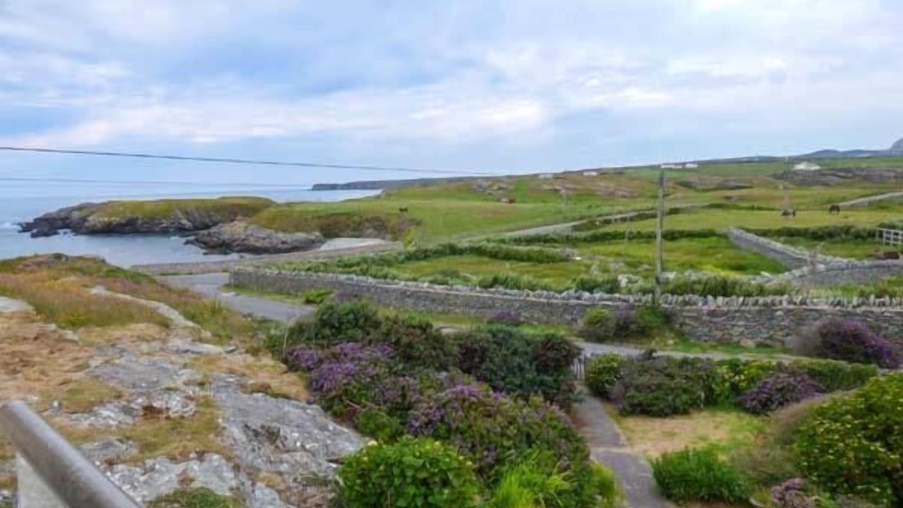 Photo of Others in Trearddur Bay