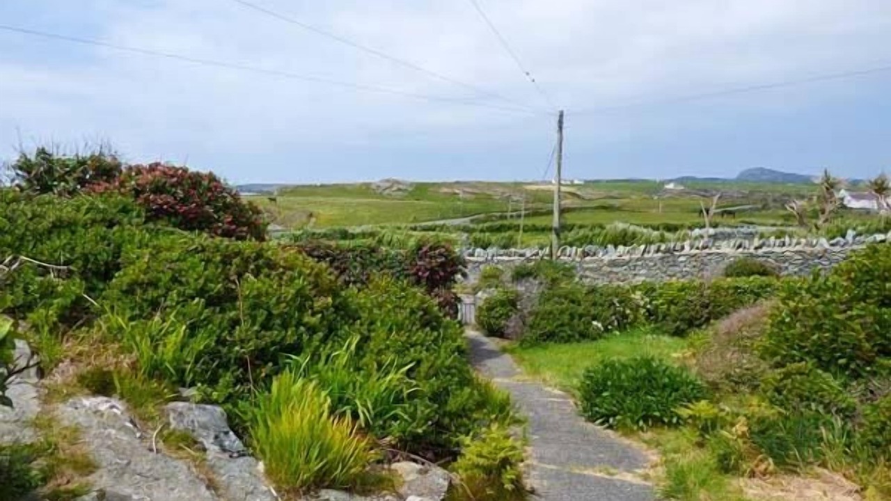 Photo of Others in Trearddur Bay