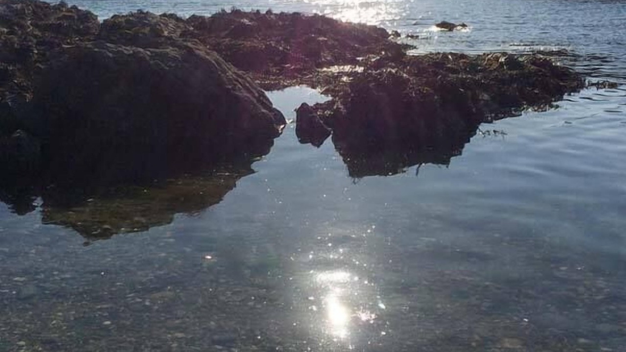 Photo of Others in Trearddur Bay