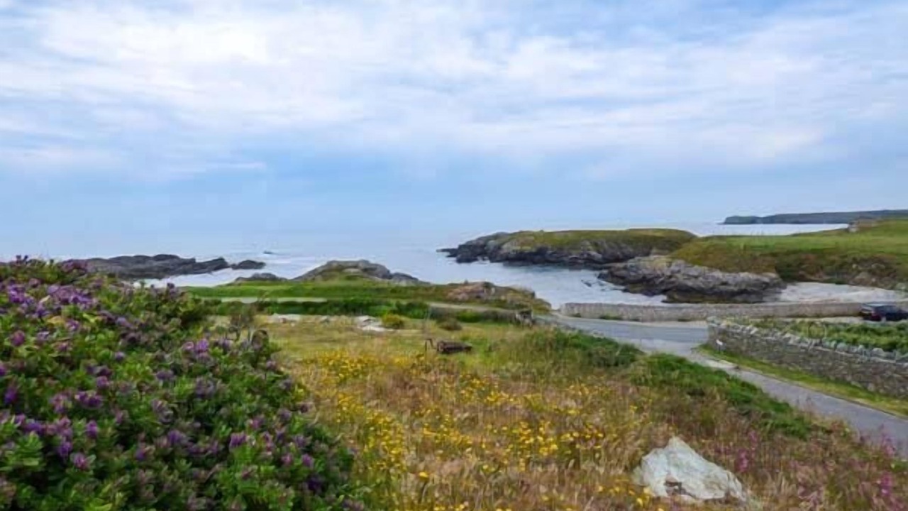 Photo of Others in Trearddur Bay