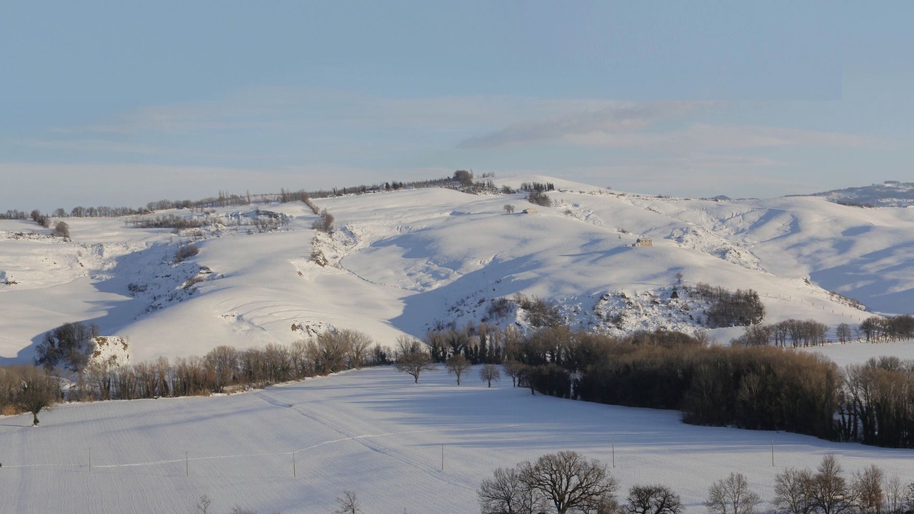 Photo of Others in Urbino
