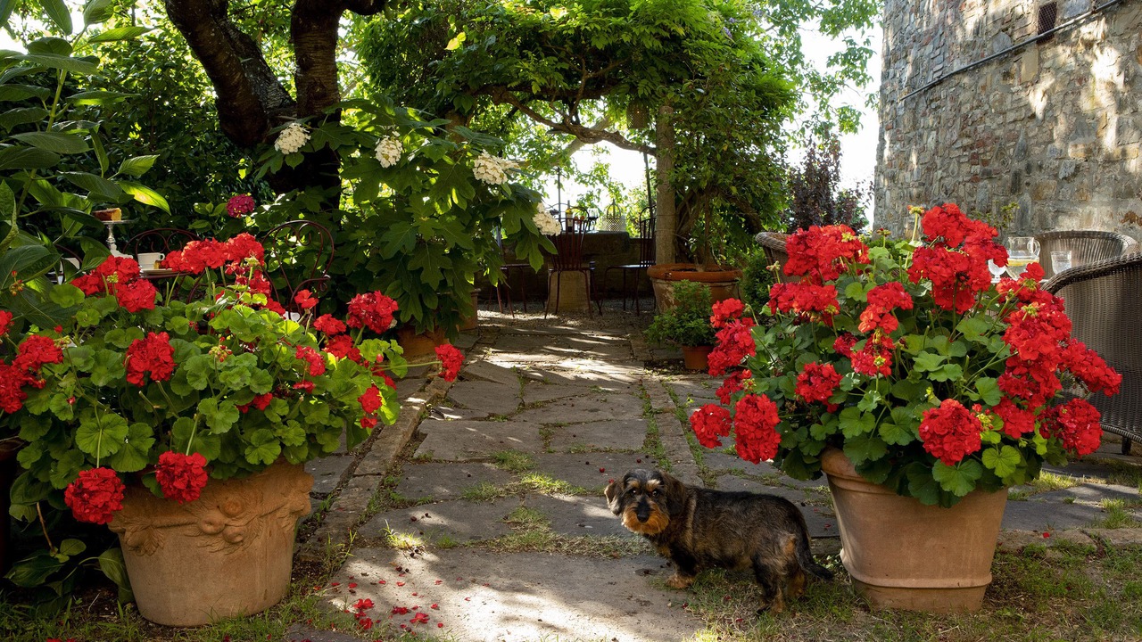 Photo of Outdoor in San Donato in Poggio