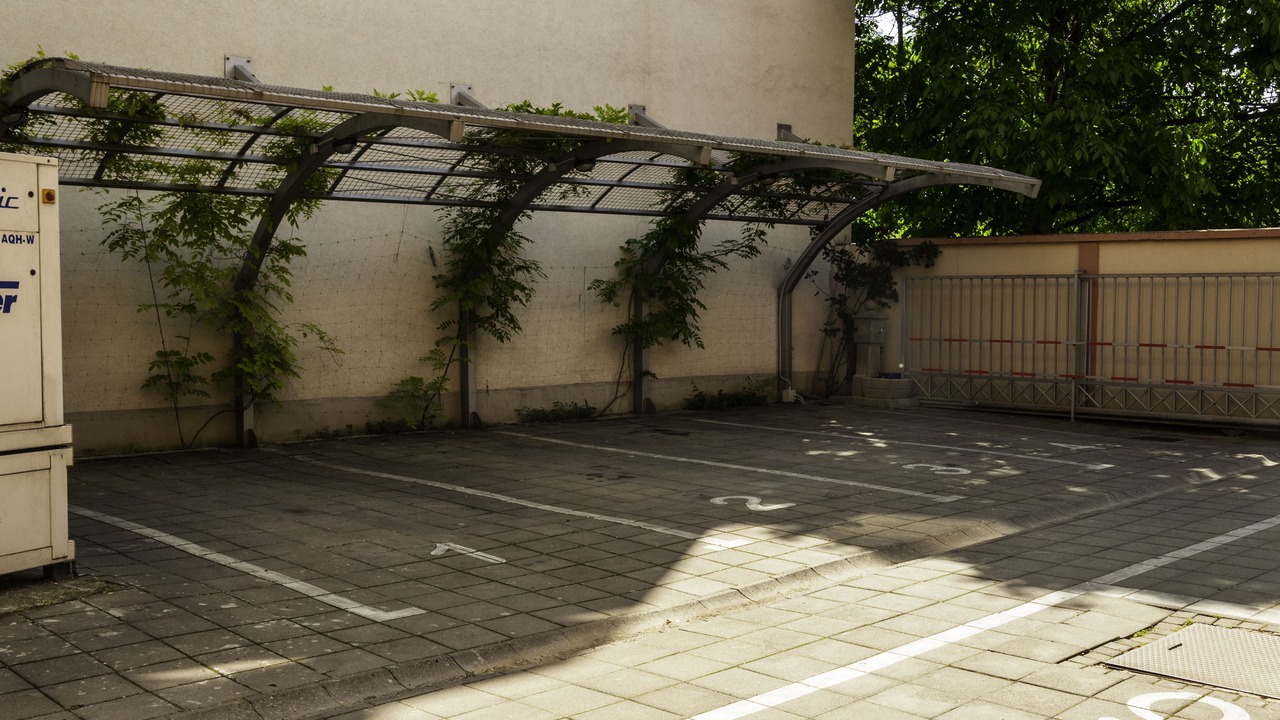 Photo of Others in Novi Sad