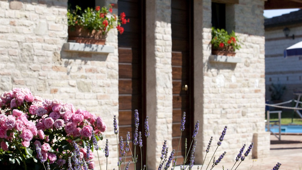Photo of Outdoor in Urbania