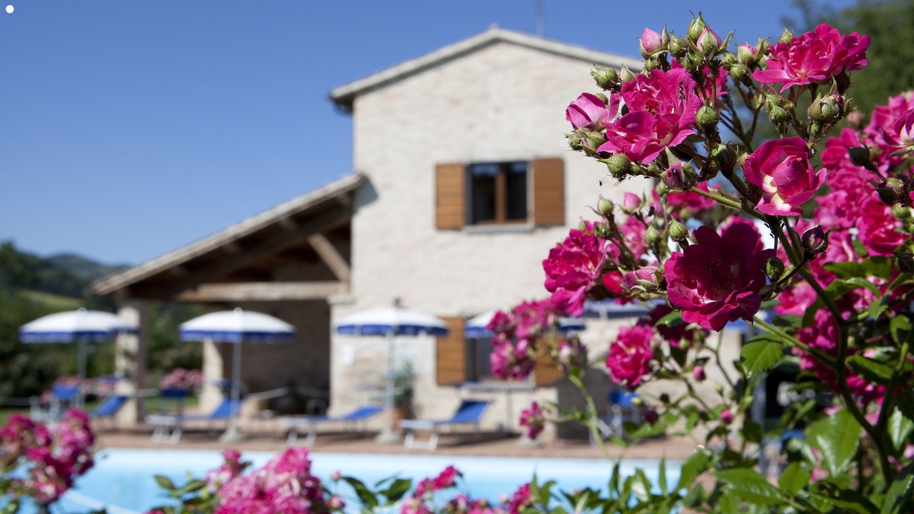 Photo of Outdoor in Urbania