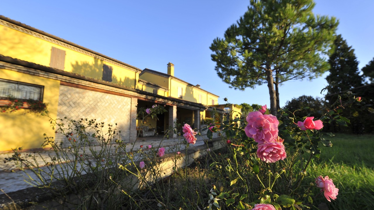 Photo of Patio Balcony in Coriano