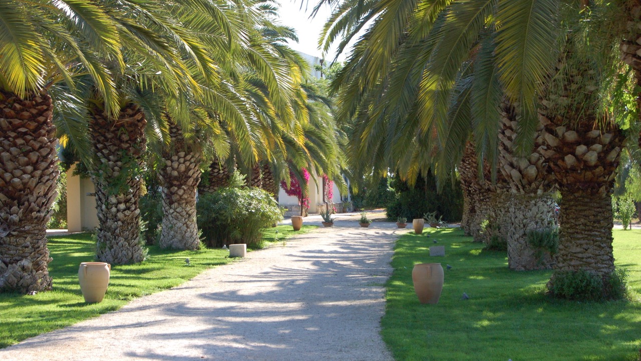 Photo of Outdoor in Ginosa