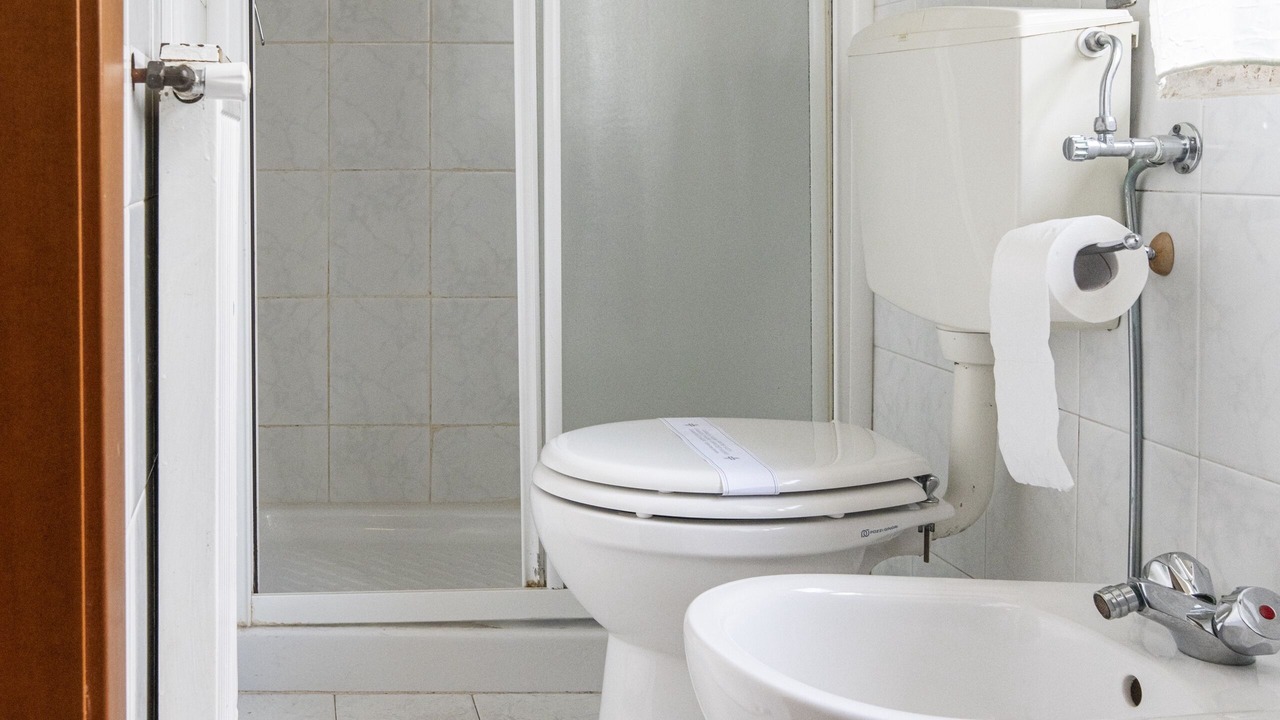 Photo of Bathroom in Torre del Lago Puccini
