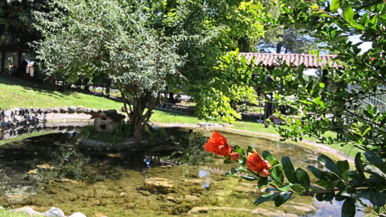 Photo of Outdoor in Monte