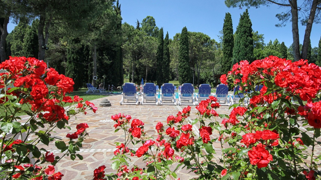 Photo of Outdoor in Monte