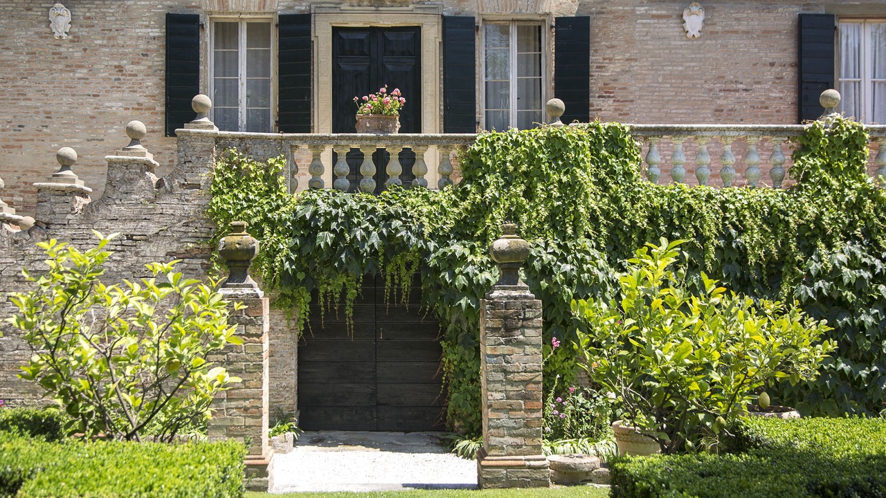 Photo of Outdoor in Trebbiantico