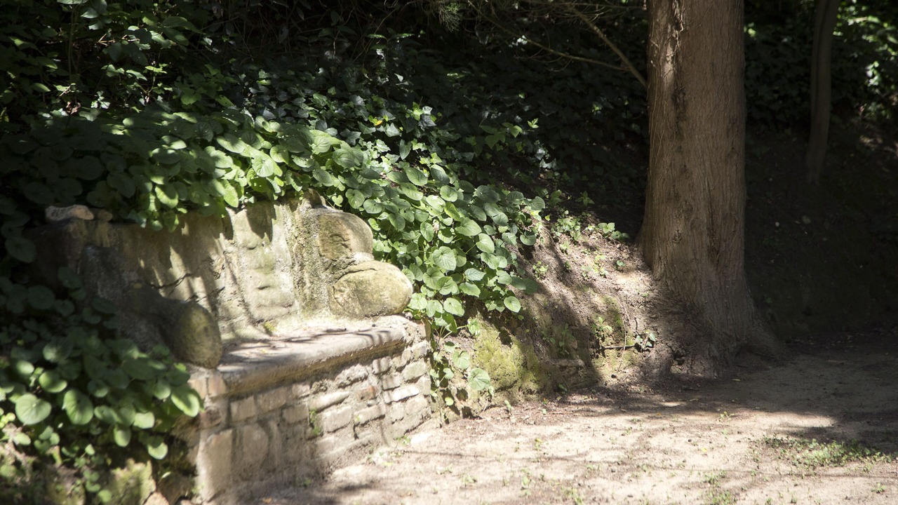Photo of Outdoor in Trebbiantico