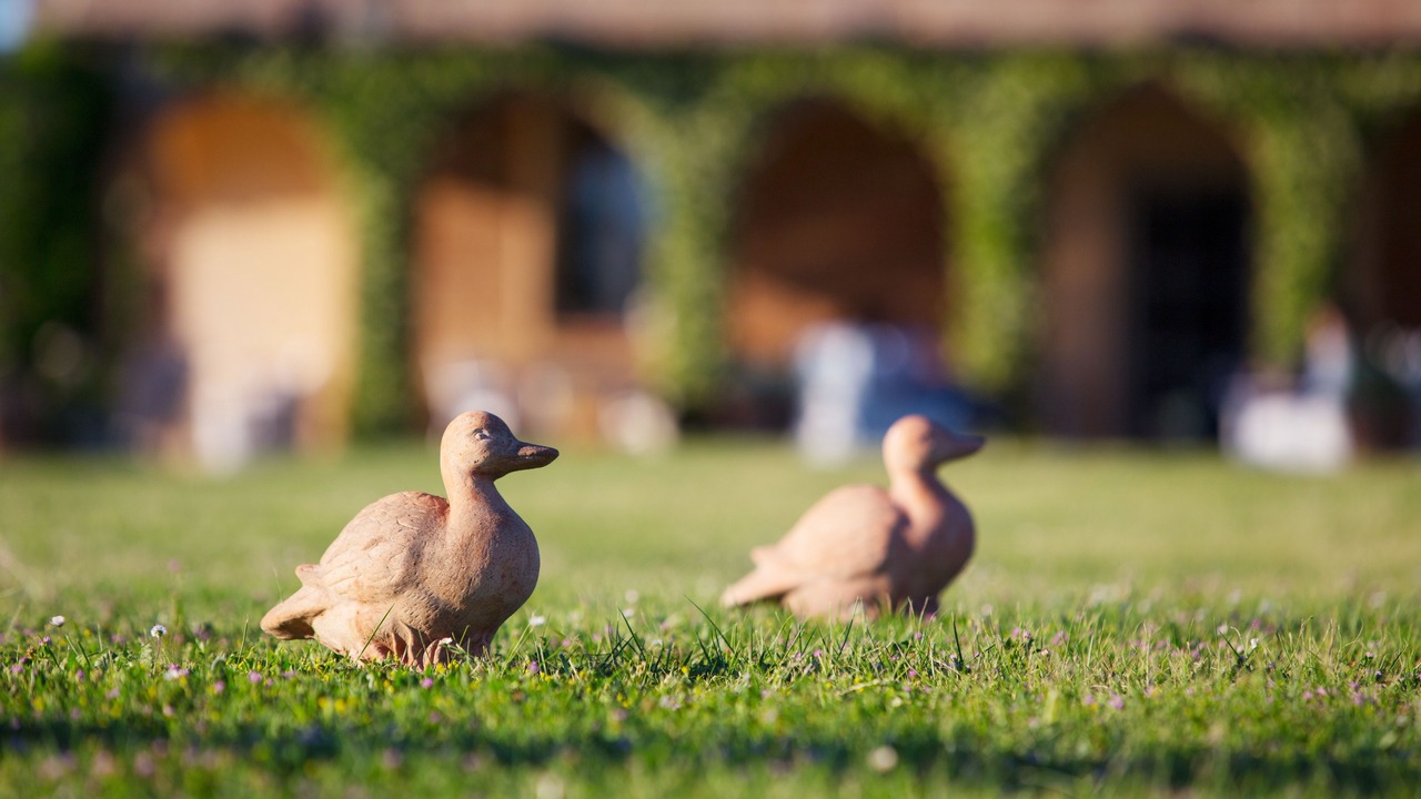 Photo of Outdoor in Cortona