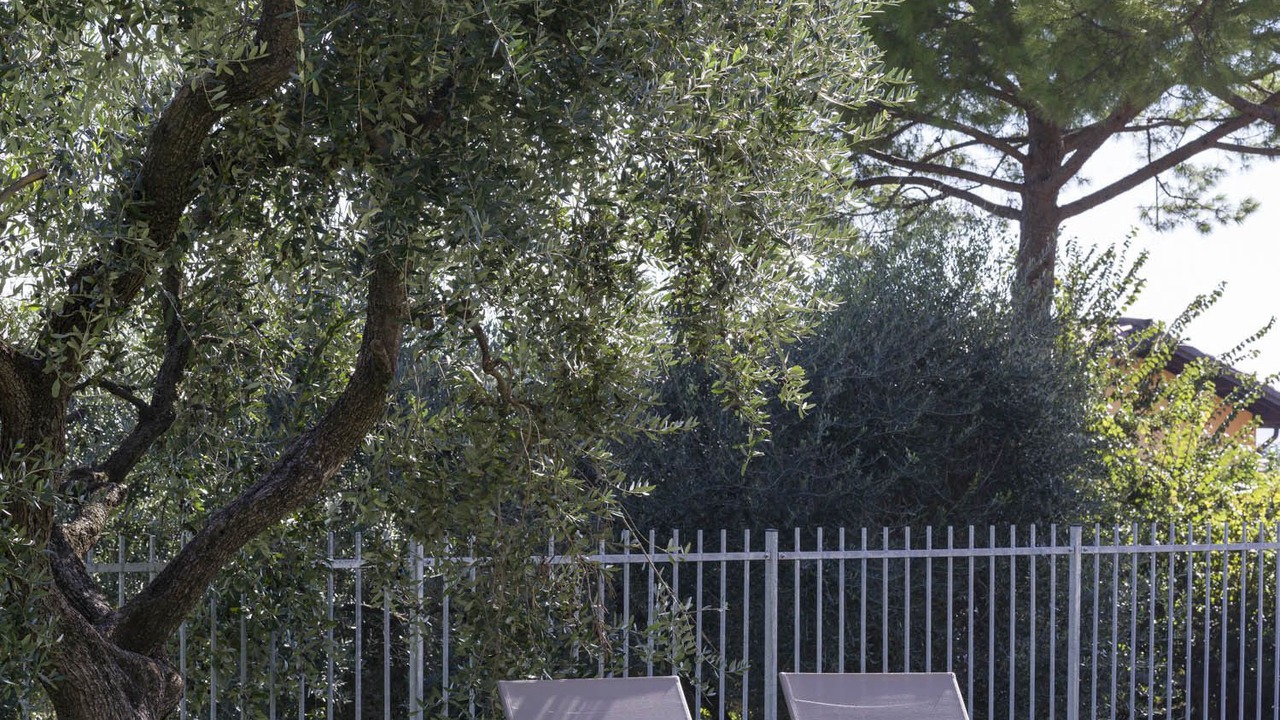 Photo of Outdoor in Moniga del Garda