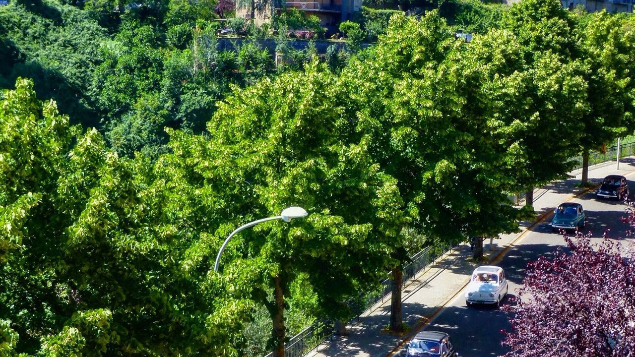 Photo of Outdoor in Soriano nel Cimino