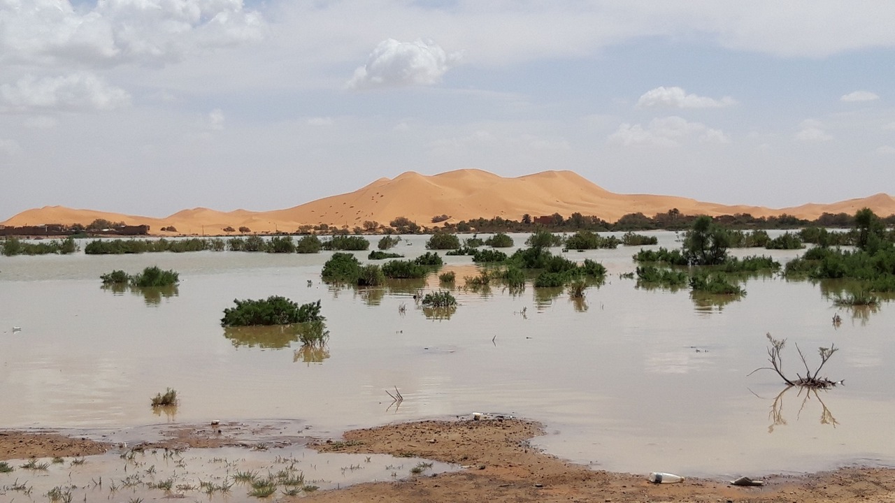 Photo of Outdoor in Merzouga