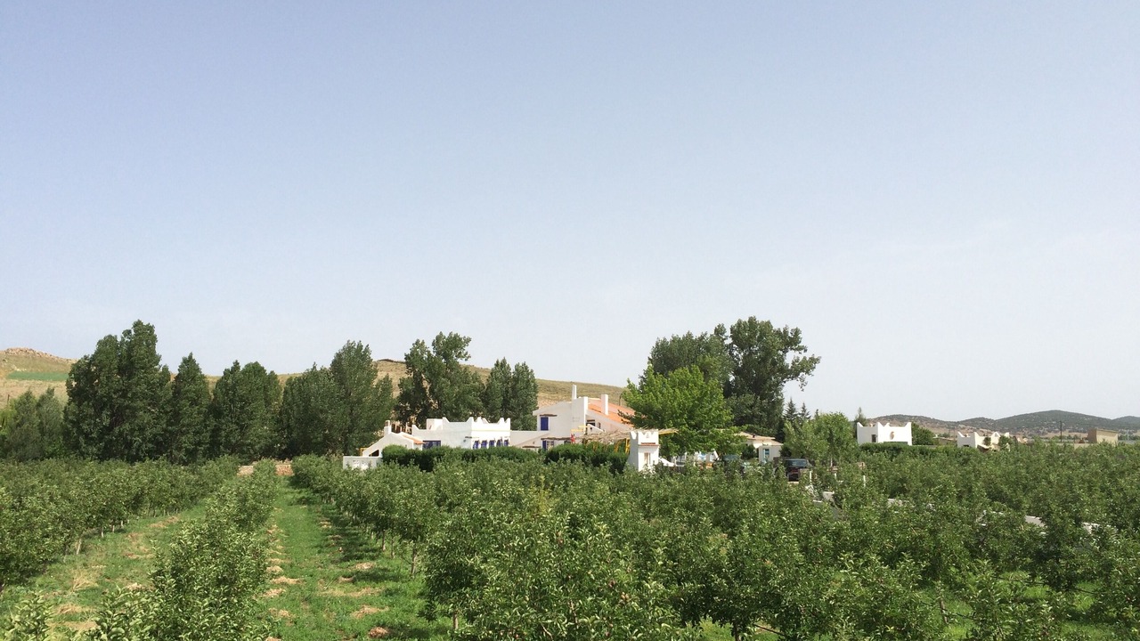 Photo of Outdoor in Immouzer